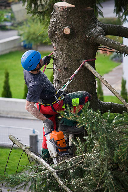 Lawn Watering Services in Post, TX